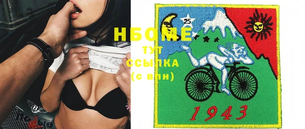 сатива Россошь