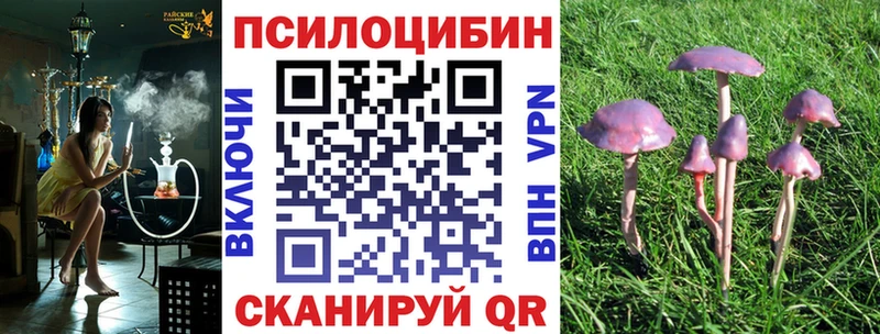 mega маркетплейс  Тихорецк  Псилоцибиновые грибы ЛСД 